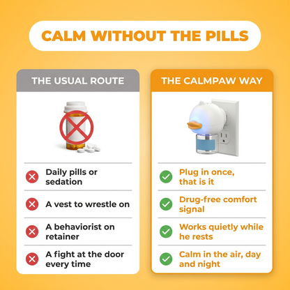Calm without the pills: the usual route versus the CalmPaw way