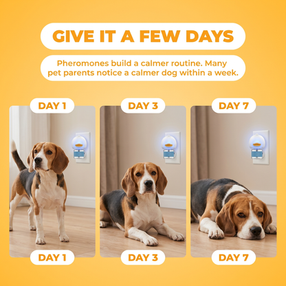 Give it a few days: the same dog grows calmer from Day 1 to Day 3 to Day 7 with CalmPaw