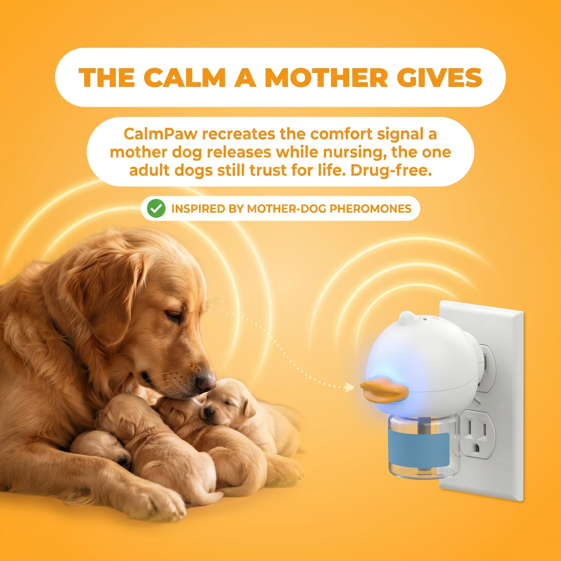 The calm a mother gives: CalmPaw recreates the comfort signal a mother dog releases while nursing, drug-free
