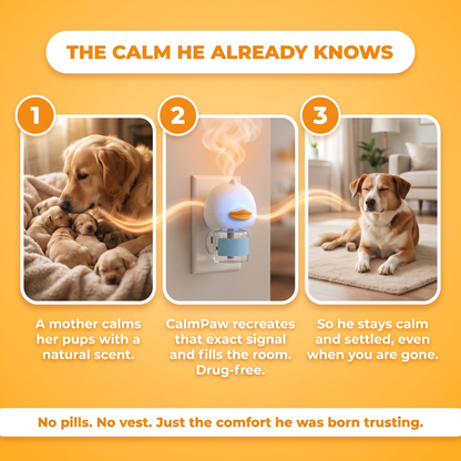 CalmPaw™ Diffuser. Quiet Hours Alone, Drug-Free