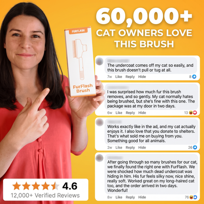 FurFlash™ Cat Deshedding Brush: Catch the Fur, Skip the Fight