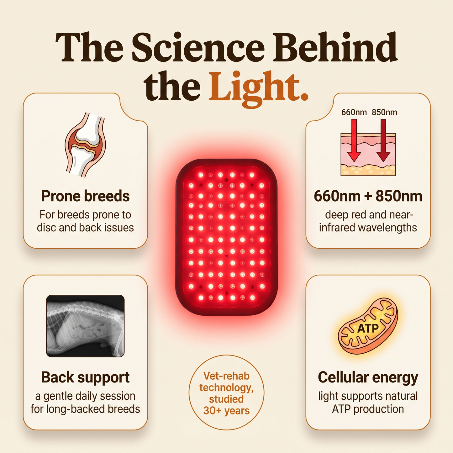 RedPaw Therapy™ Red Light Vest: Vet-Grade Comfort Without the Vet Bill
