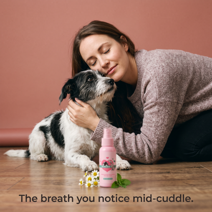 The breath you notice mid-cuddle - owner cuddling dog