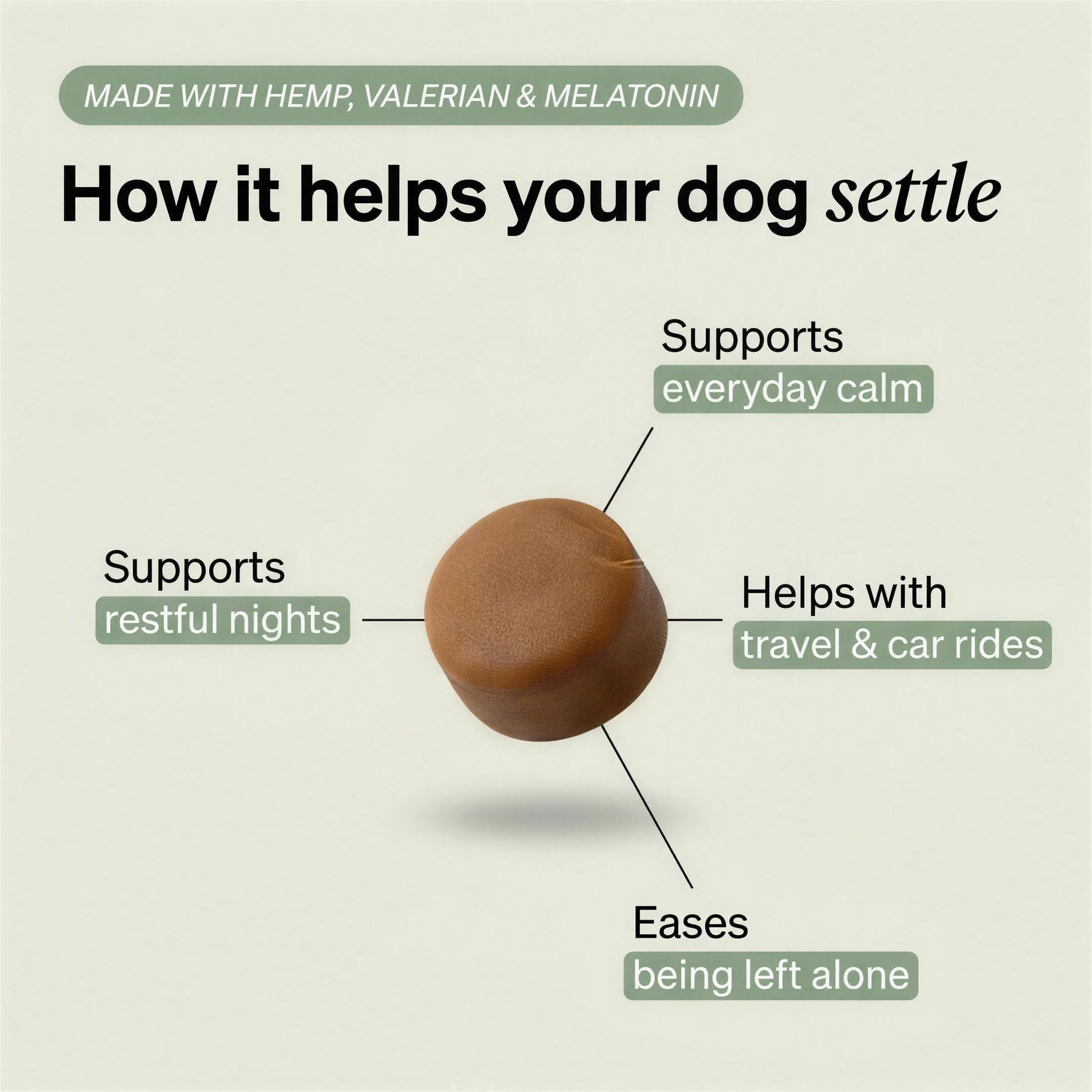 How Calming Chews help your dog settle - benefits