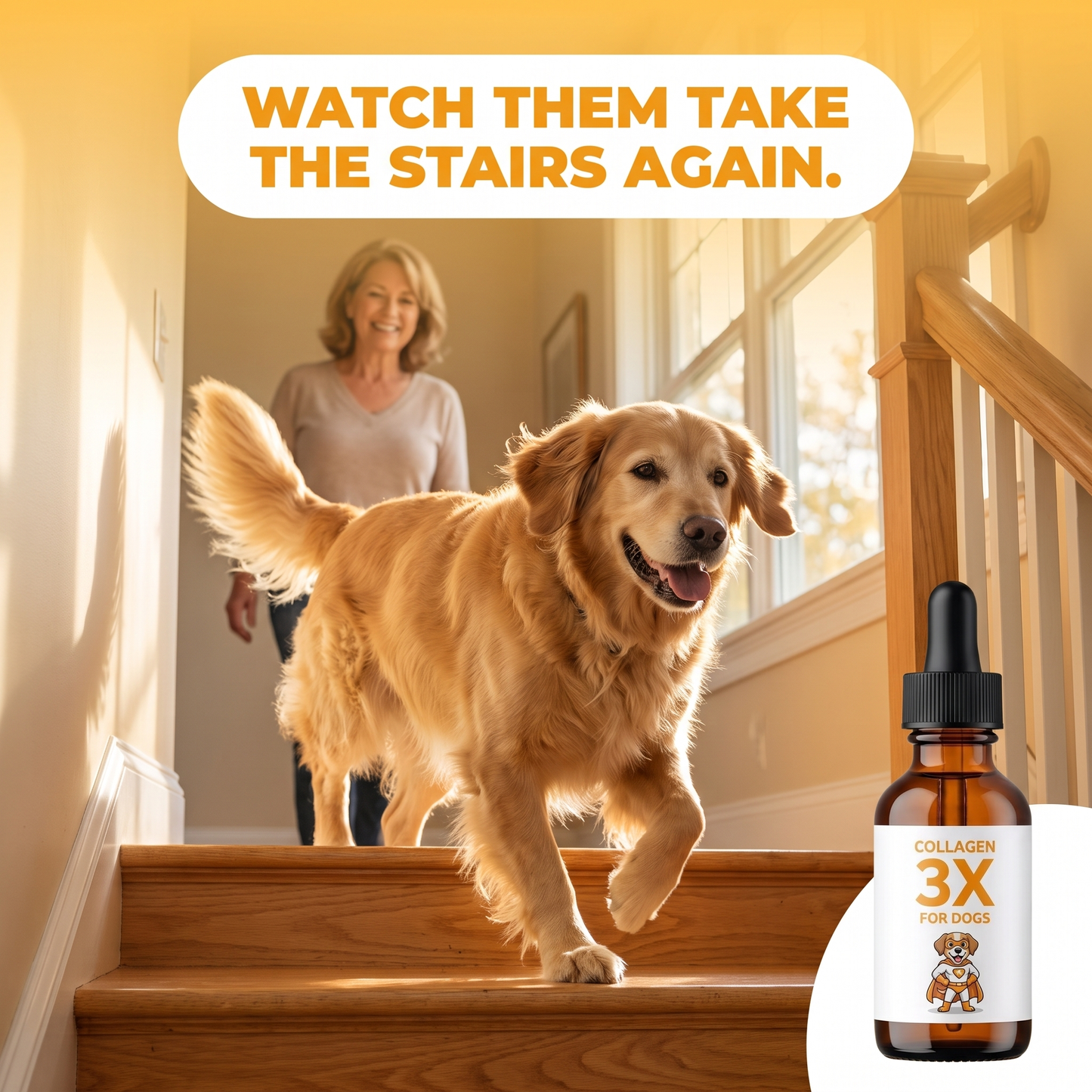 Watch them take the stairs again. Senior golden retriever moving freely with Collagen 3X.