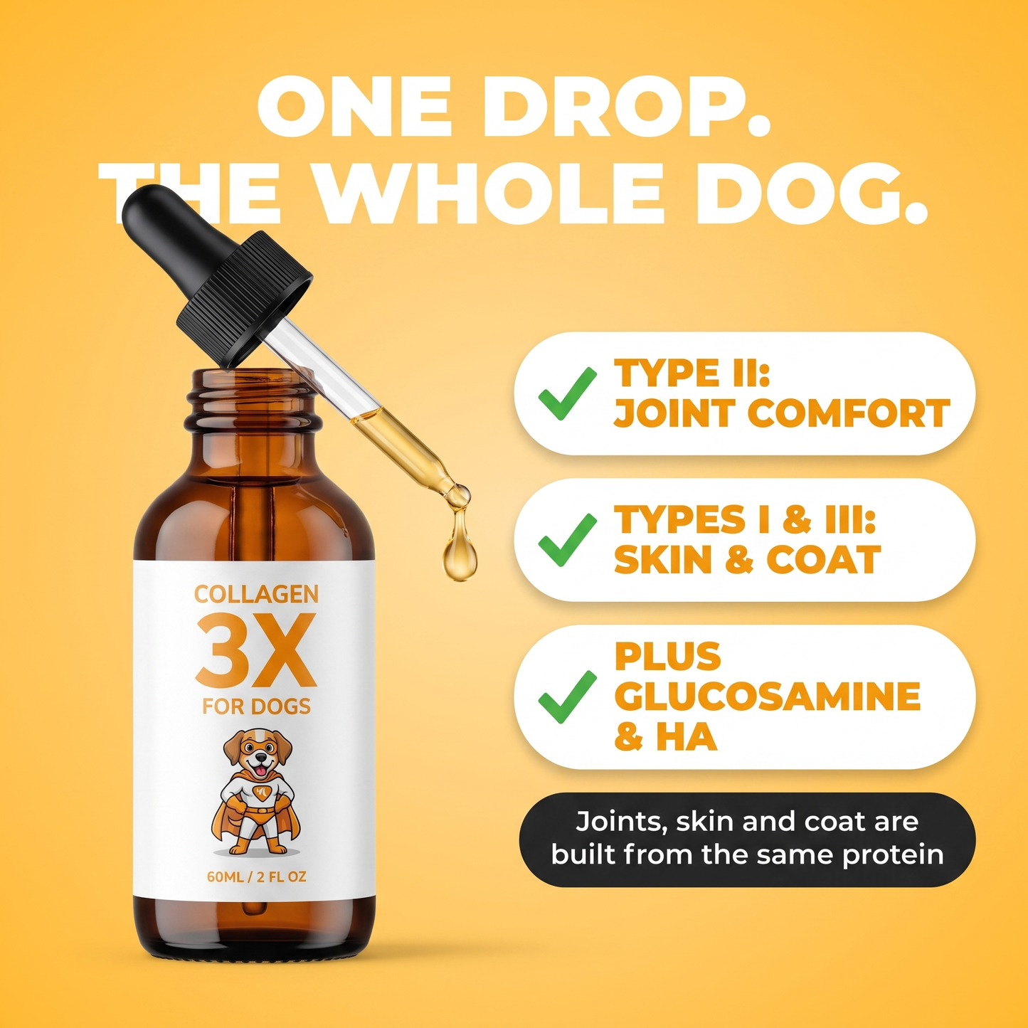 One drop, the whole dog. Type II for joint comfort, Types I and III for skin and coat, plus glucosamine and HA.