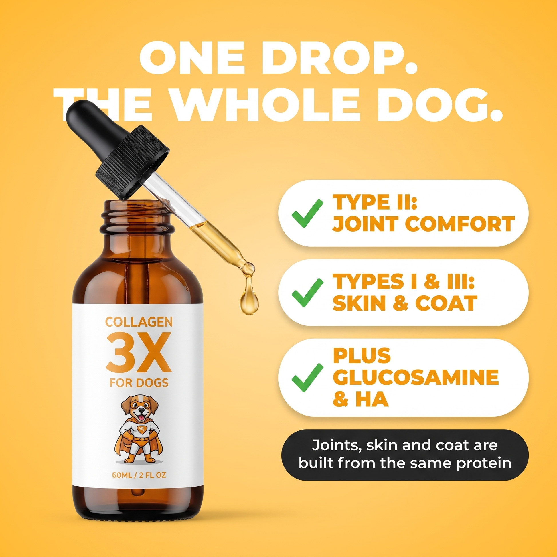 One drop, the whole dog. Type II for joint comfort, Types I and III for skin and coat, plus glucosamine and HA.
