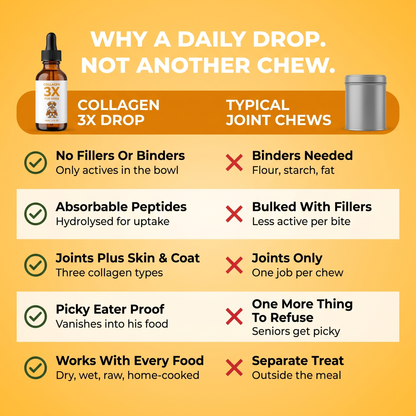 Why a daily drop, not another chew. No fillers, absorbable peptides, joints plus skin and coat, picky eater proof, works with every food.