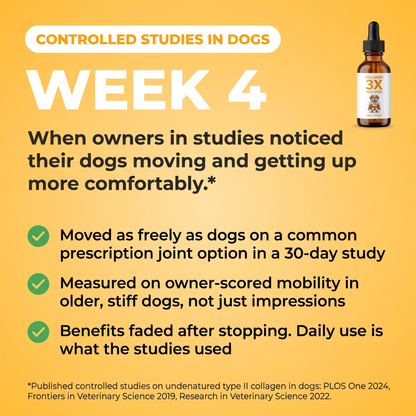 Controlled studies in dogs: by week 4 owners noticed easier movement. Type II collagen moved dogs as freely as a common prescription option in a 30-day study.