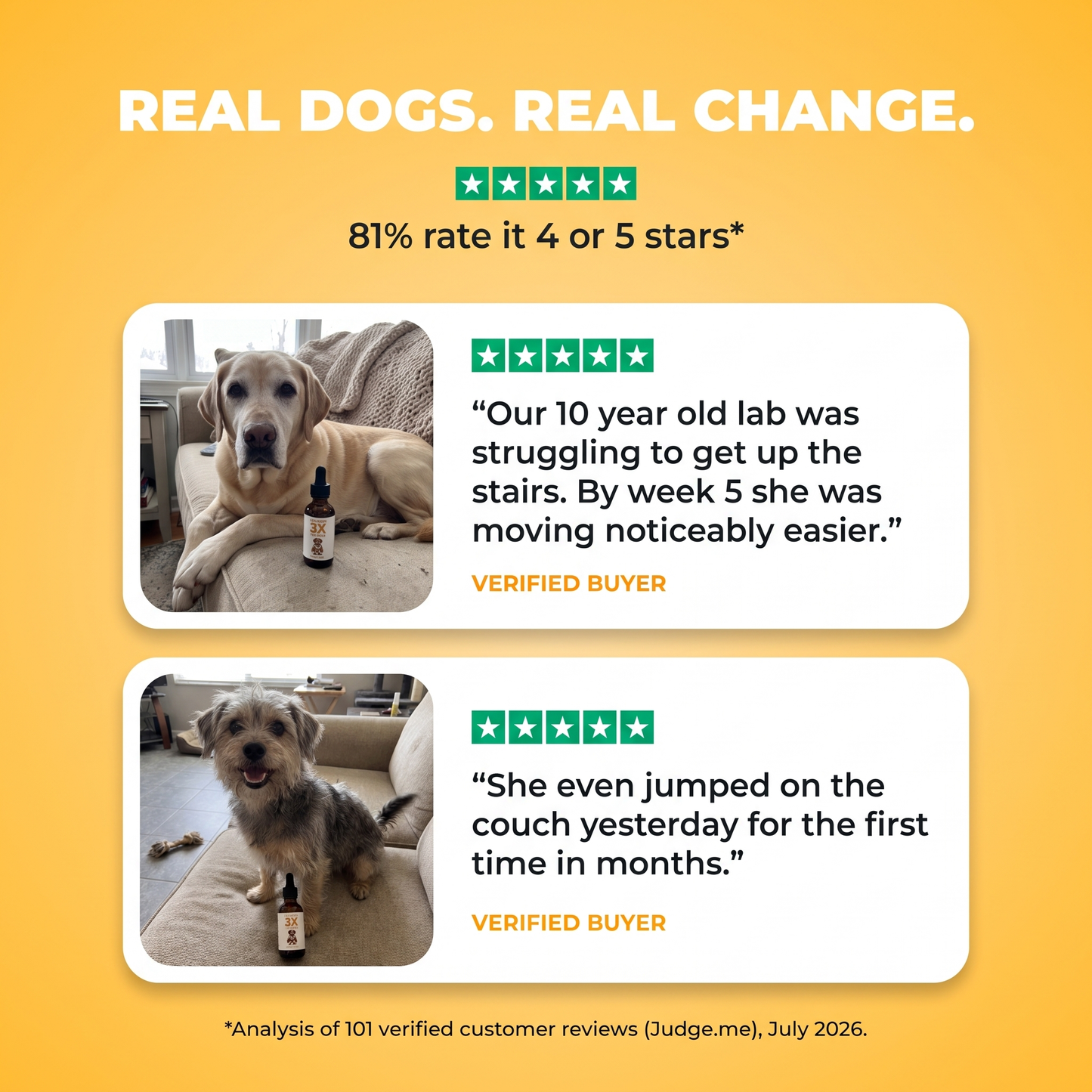 Real dogs, real change. Verified buyer reviews with owner photos: senior lab moving easier by week 5, terrier back on the couch. 81% rate it 4 or 5 stars.