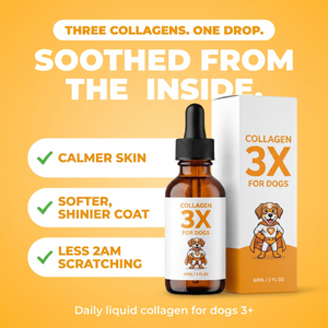 Collagen 3X for dogs, soothed from the inside. Calmer skin, softer shinier coat, less 2am scratching. Three collagens, one drop.