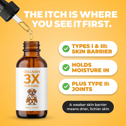 The itch is where you see it first. Types I and III support the skin barrier and hold moisture in, plus Type II for joints.