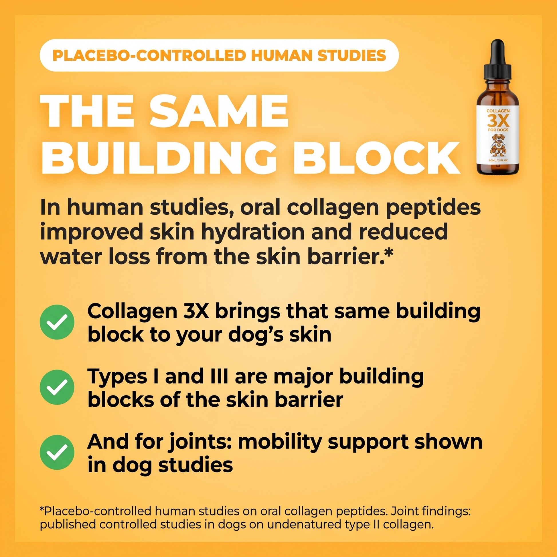 The same building block: in placebo-controlled human studies, oral collagen peptides improved skin hydration and reduced water loss. Collagen 3X brings that building block to your dog's skin.