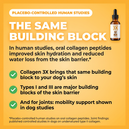 The same building block: in placebo-controlled human studies, oral collagen peptides improved skin hydration and reduced water loss. Collagen 3X brings that building block to your dog's skin.