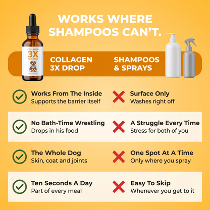 Works where shampoos can't. From the inside, no bath-time wrestling, the whole dog, ten seconds a day.