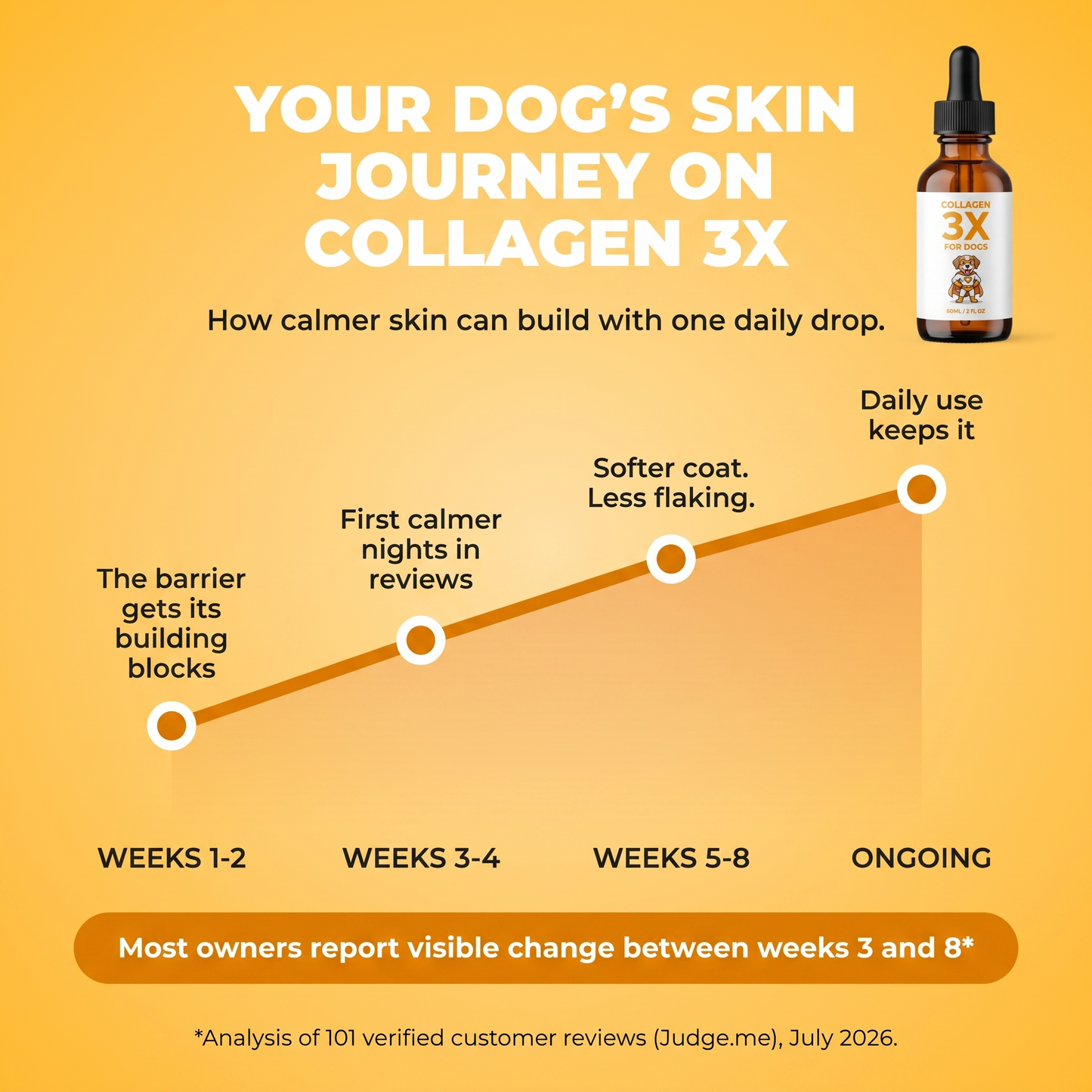 Your dog's skin journey on Collagen 3X: weeks 1-2 the barrier gets its building blocks, weeks 3-4 first calmer nights, weeks 5-8 softer coat and less flaking, ongoing daily use keeps it.