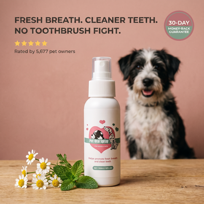 FreshBites™ Dental Spray - Clean Teeth Without the Toothbrush Fight