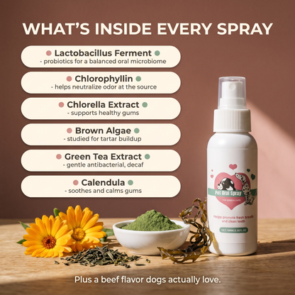 FreshBites™ Dental Spray - Clean Teeth Without the Toothbrush Fight