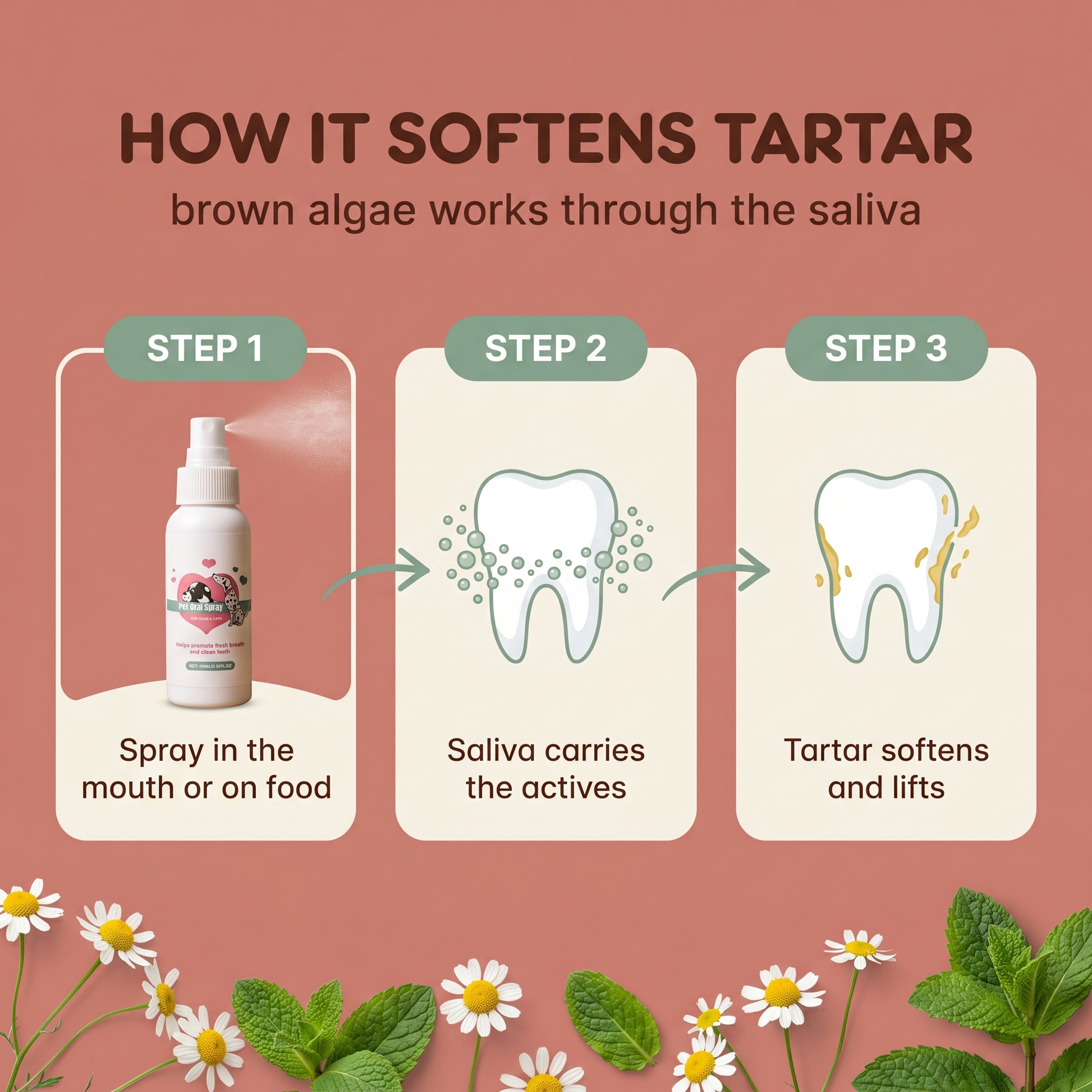 How it softens tartar: spray, saliva carries the actives, tartar lifts away