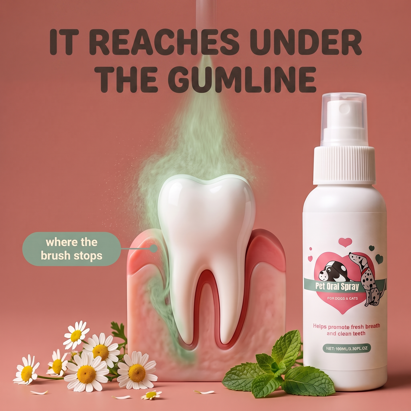 FreshBites reaches under the gumline, where the brush stops