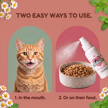 Two easy ways to use FreshBites: in the mouth or on their food