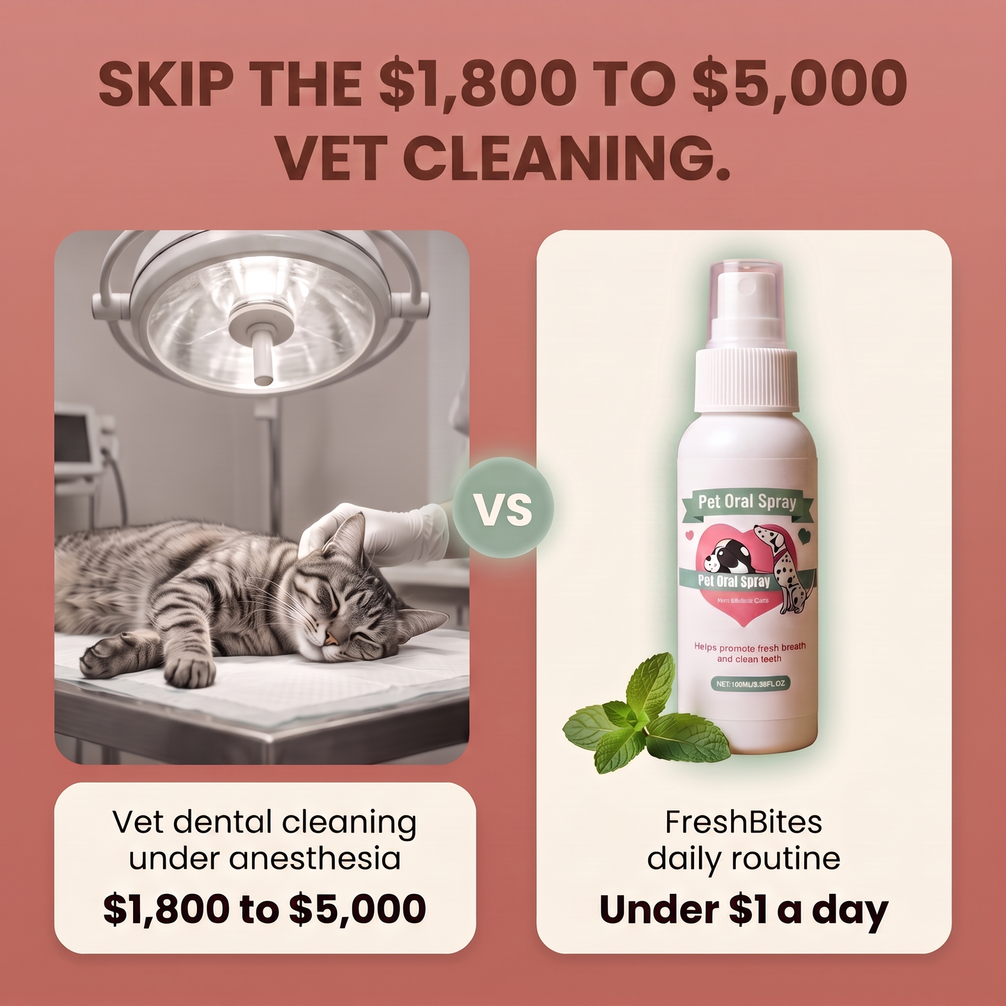 Skip the $1,800 to $5,000 vet cleaning: the FreshBites daily routine costs under $1 a day