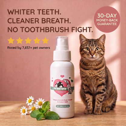 FreshBites™ Cat Dental Spray - Fresh Breath & Clean-Looking Teeth, No Brushing