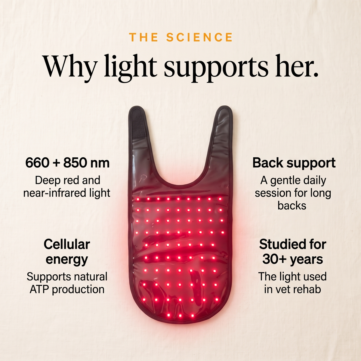 Inside of the RedPaw wrap with LEDs on, the science behind red light for dogs