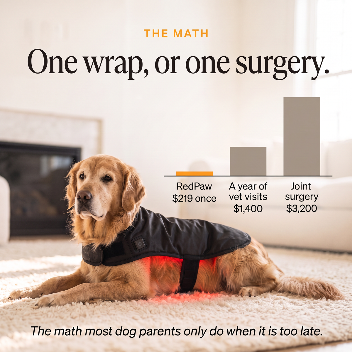 Golden Retriever in the RedPaw wrap, cost of RedPaw versus vet visits and surgery