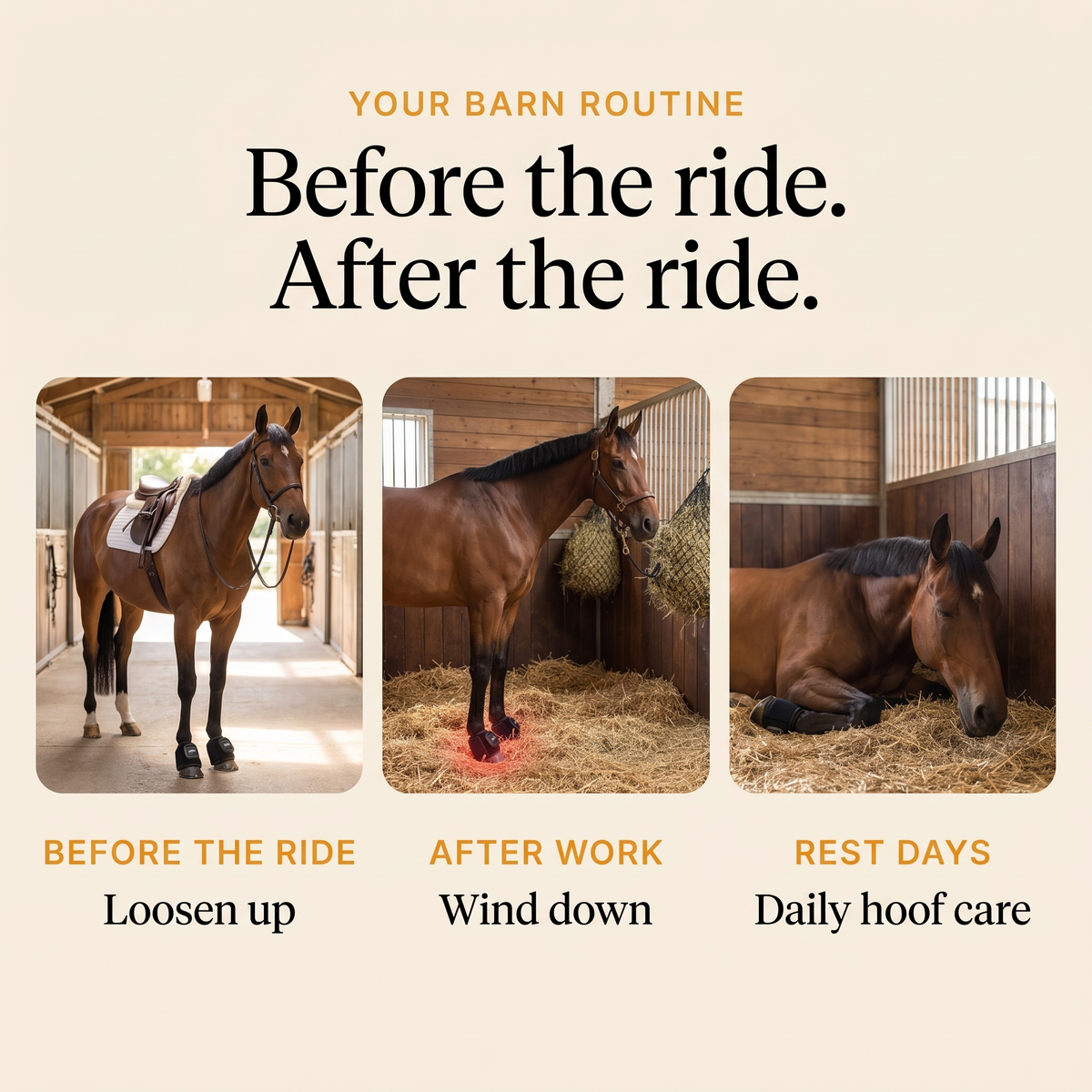 Barn routine with the RedHoof hoof wrap before the ride, after work and on rest days