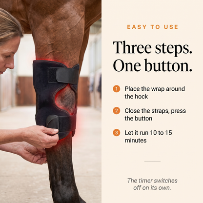 Woman fastening the RedHoof hock wrap on a horse hock with three easy steps