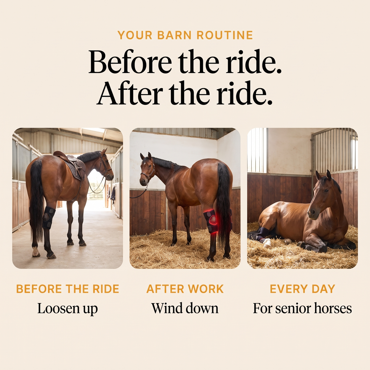 Barn routine with the RedHoof hock wrap before the ride, after work and every day