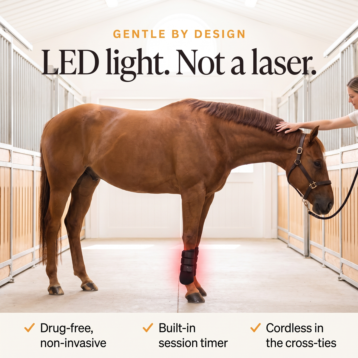 Relaxed chestnut horse in cross-ties with the RedHoof LED tendon boot, drug-free with built-in timer