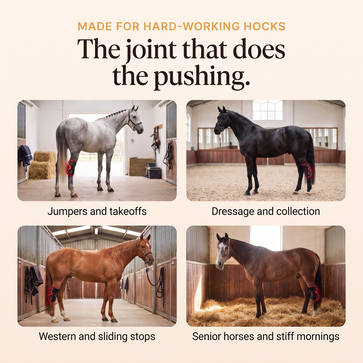 Jumper, dressage, western and senior horses wearing the RedHoof hock wrap
