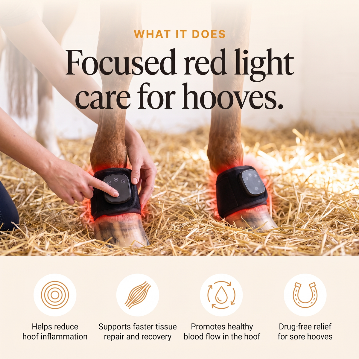 RedHoof hoof wraps on both front hooves, helps reduce hoof inflammation, supports tissue repair, promotes blood flow, drug-free relief