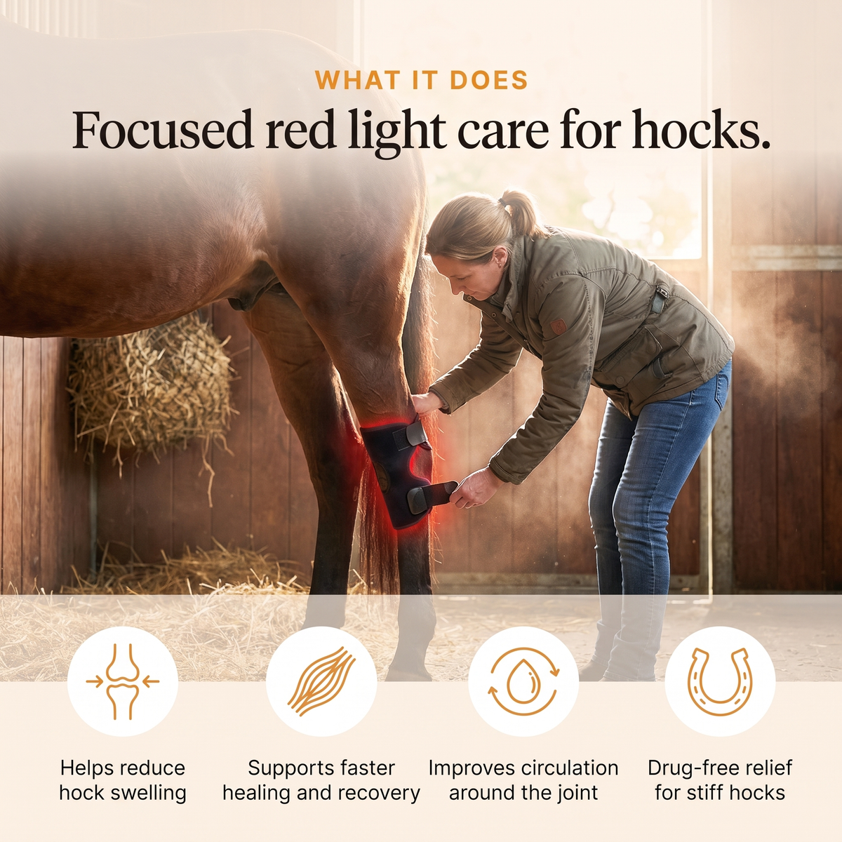 RedHoof hock wrap on a hind hock, helps reduce hock swelling, supports healing, improves circulation, drug-free relief