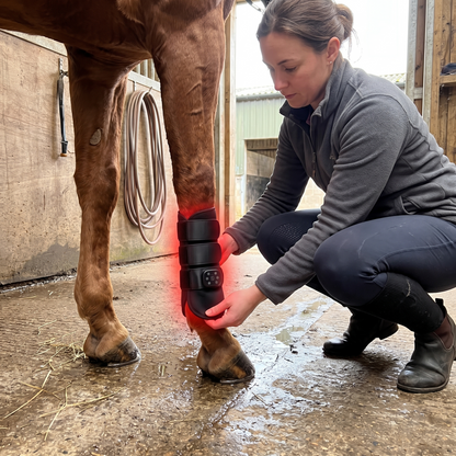 Rider closing the RedHoof tendon boot on her chestnut horse after a ride at the wash rack