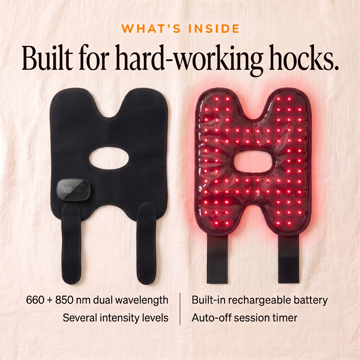 RedHoof Hock Wrap for horses, outside with control unit and inside with red and near-infrared LEDs