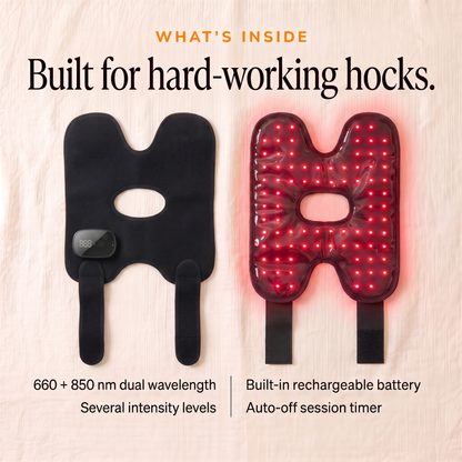 RedHoof Hock Wrap for horses, outside with control unit and inside with red and near-infrared LEDs