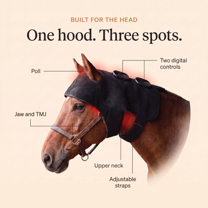 RedHoof Genick- und Halshaube deckt Genick, Kiefer, Kiefergelenk und oberen Hals ab, mit zwei digitalen Steuerungen und verstellbaren Riemen