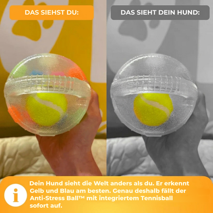 Anti-Stress Ball™: Trost zum Herumtragen