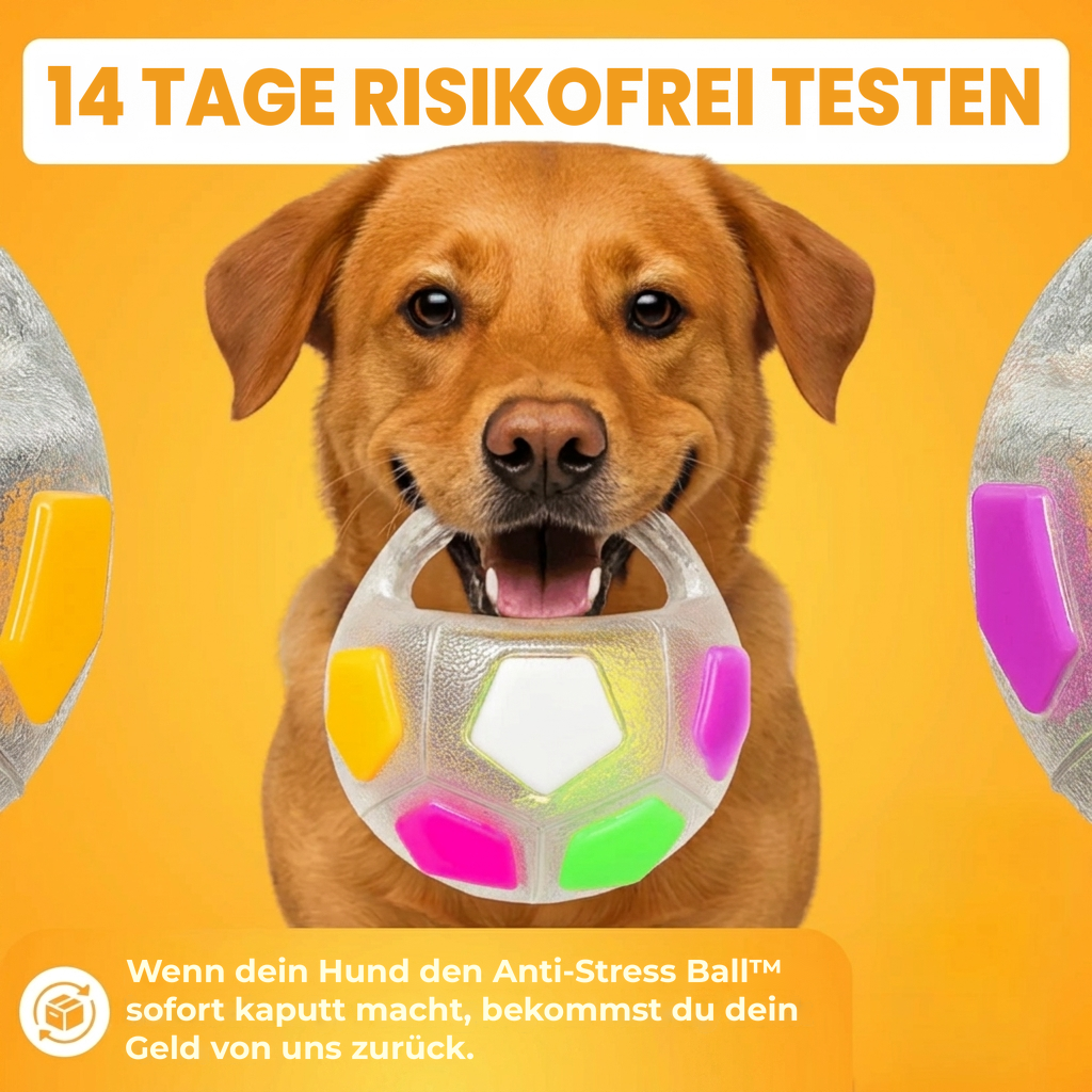 Anti-Stress Ball™: Trost zum Herumtragen