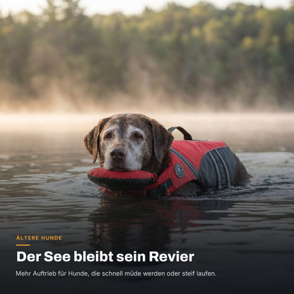 Älterer Labrador schwimmt ruhig in einem nebligen See mit der roten AquaPaw Schwimmweste