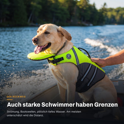 Labrador fährt mit der grünen AquaPaw Schwimmweste im Boot über einen See: Auch gute Schwimmer haben Grenzen