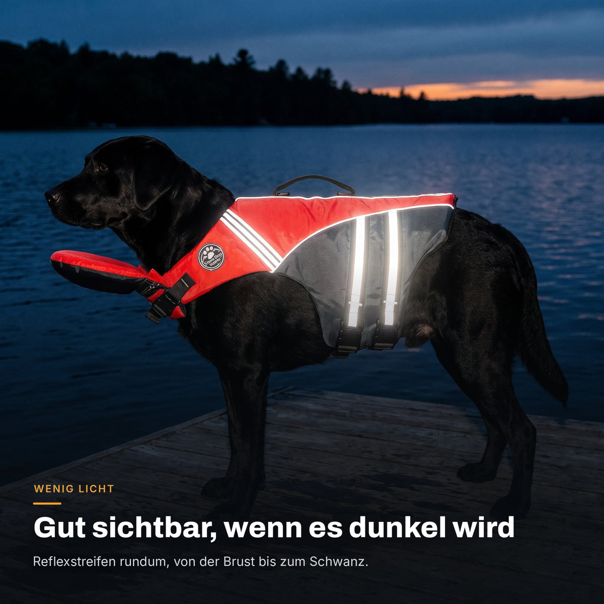 Schwarzer Labrador in der Abenddämmerung auf einem Steg mit der roten AquaPaw Schwimmweste, die 360-Grad-Reflexstreifen leuchten