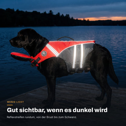 Schwarzer Labrador in der Abenddämmerung auf einem Steg mit der roten AquaPaw Schwimmweste, die 360-Grad-Reflexstreifen leuchten