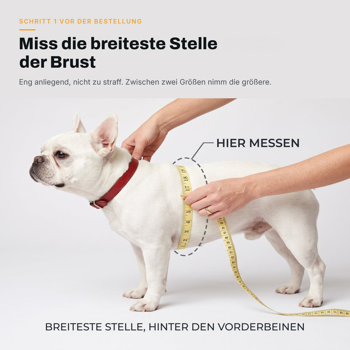 So misst du deinen Hund für die AquaPaw Schwimmweste: Maßband um die breiteste Stelle des Brustkorbs direkt hinter den Vorderbeinen