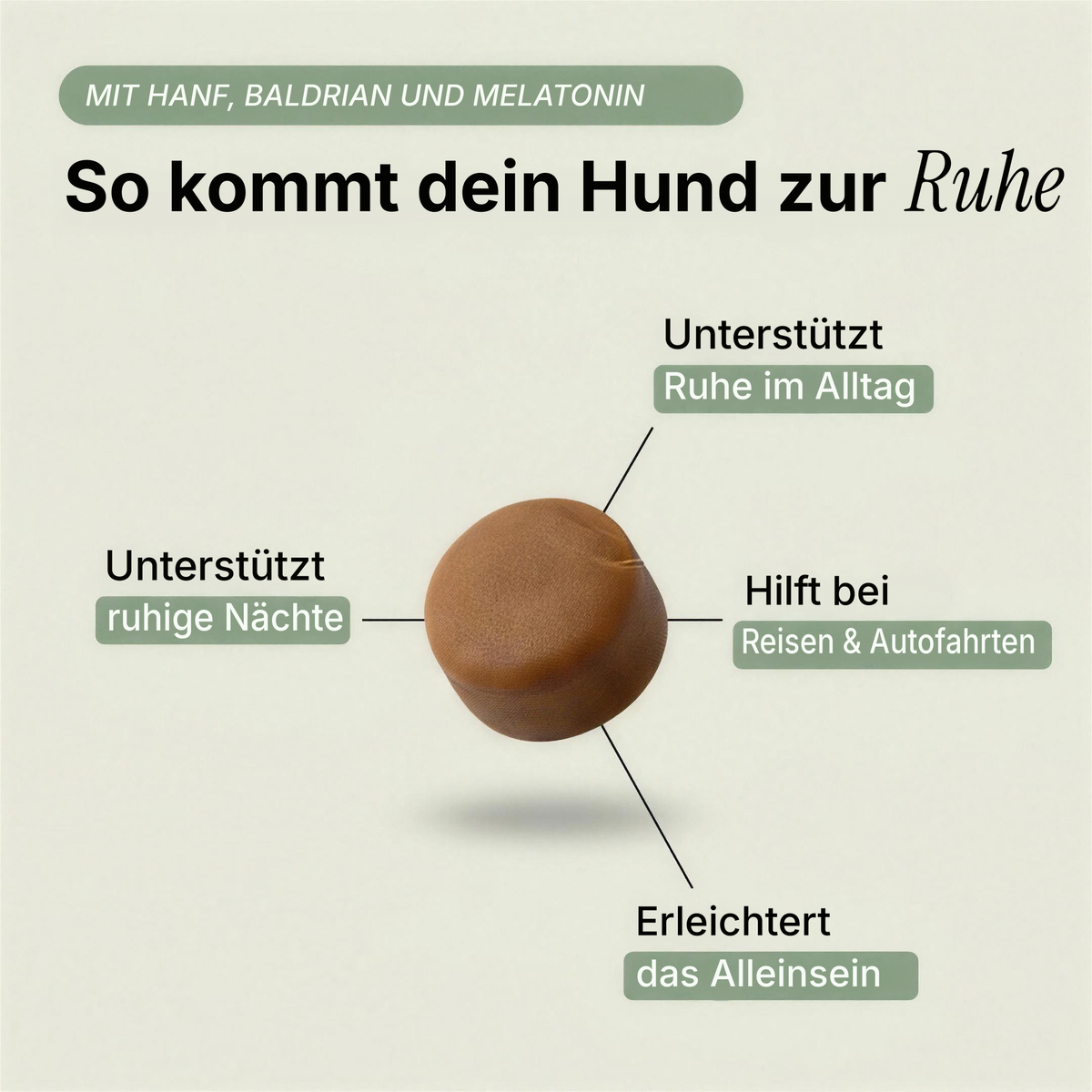 Wie Calming Chews deinem Hund helfen können, zur Ruhe zu kommen: die Vorteile