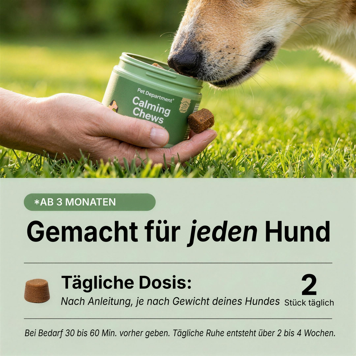Für jeden Hund gemacht: die Dosierung