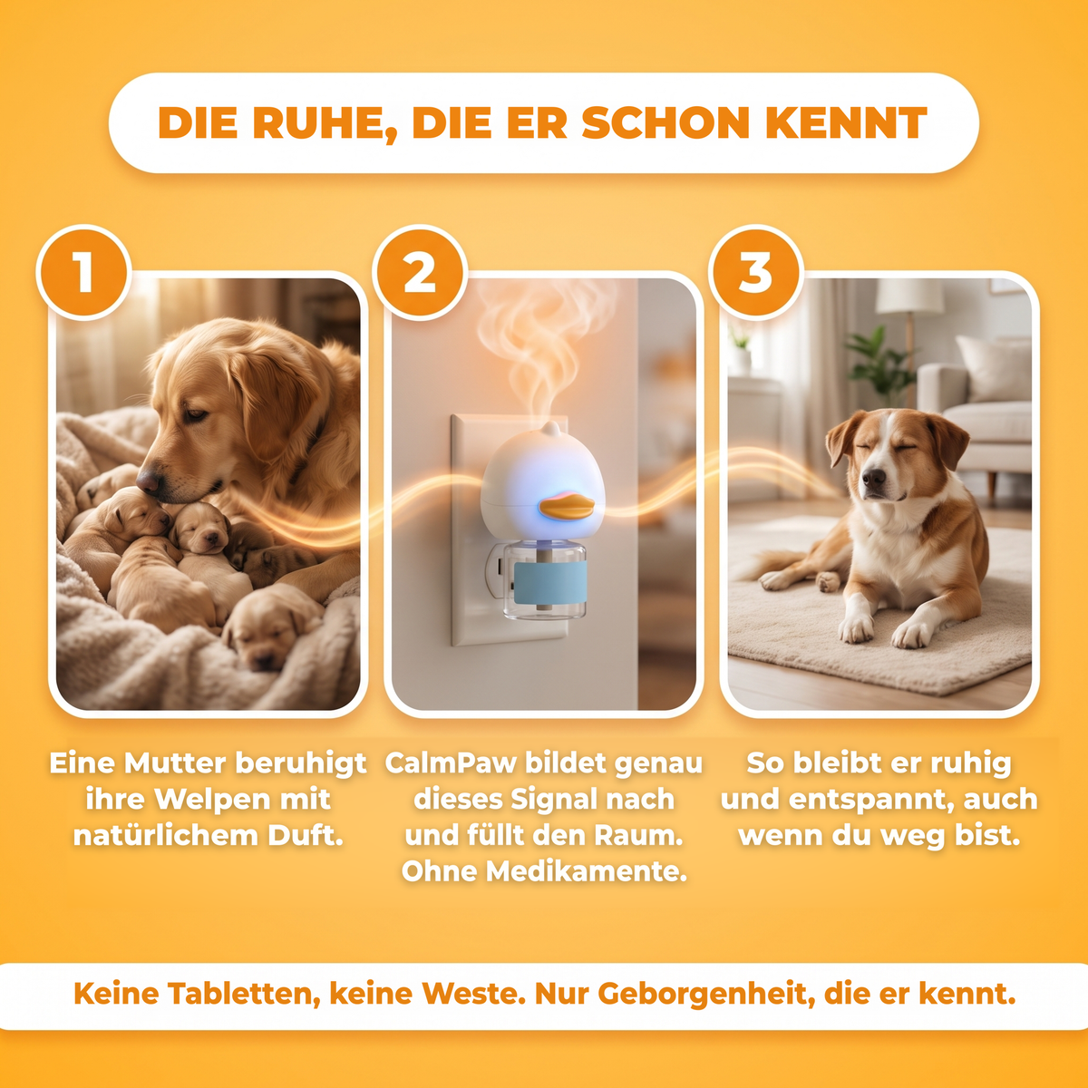 CalmPaw™ Diffuser: Ruhige Stunden allein, ohne Medikamente